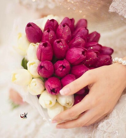 purple, girl and tulip