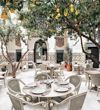 restaurant, tropical and inspo