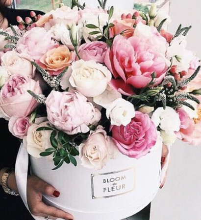 rose, flower and Fleurs