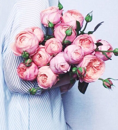 flower, flowers and Fleurs