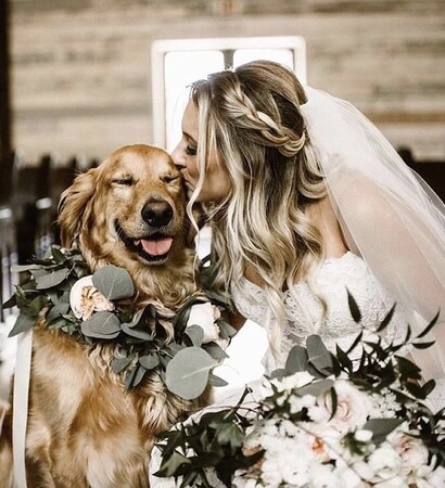 style, cute and pet