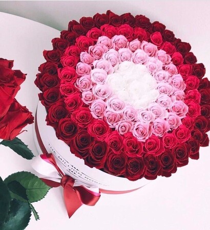 girl, love and roses