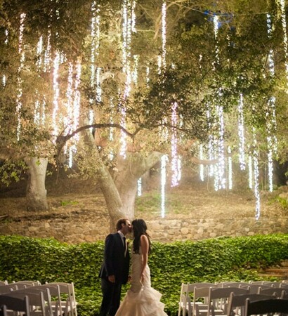 bosque, family and boda