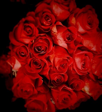 gucci, romantic and ?