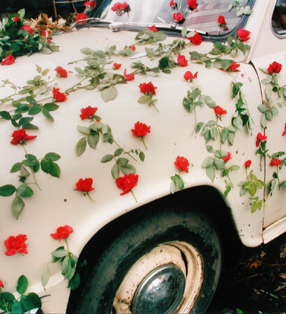 white, romantic and flowers