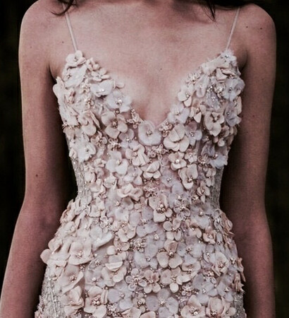 birde, pink and dress