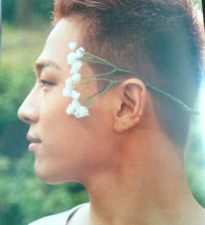 tumblr, taeyang and marry