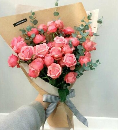 Fleurs, rose and book