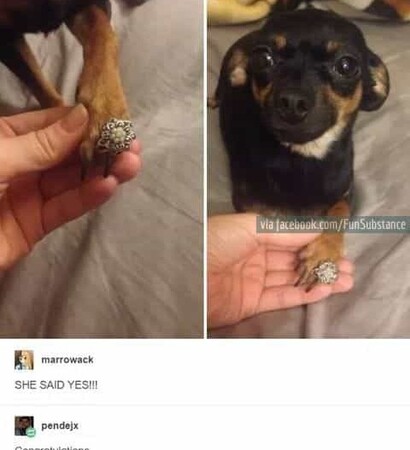 invited, humor and funny