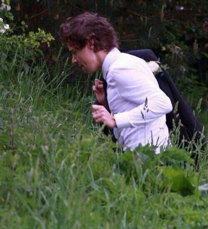 one direction, tomlinson and Harry Styles