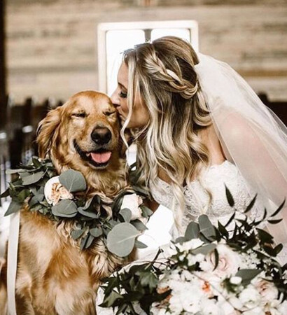 she said yes, dress and pet