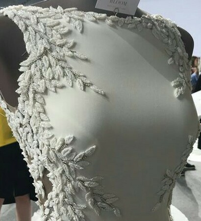 fashion, expensive and corset
