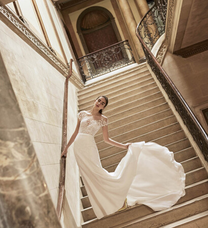 boda, elegancia and belleza