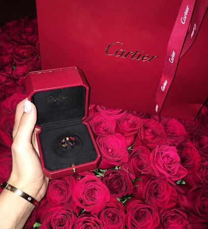 fashion, cartier and luxury