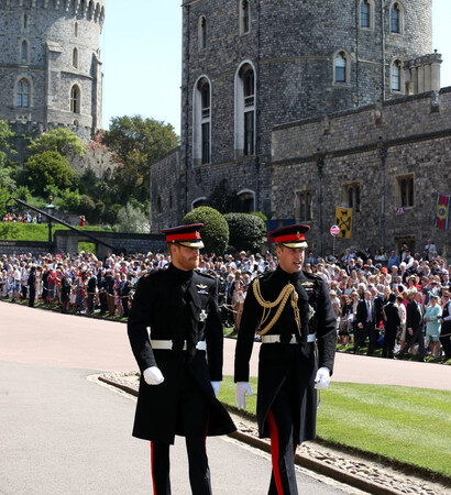 family, brothers and prince harry