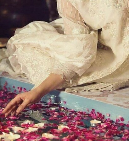 petals, pakistani and roses