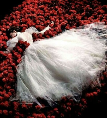 rose, cool and red