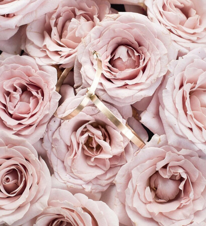 pink, lockscreen and nature