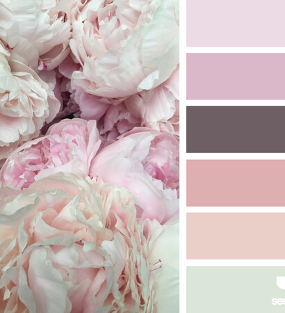 seeds color, pink and flora