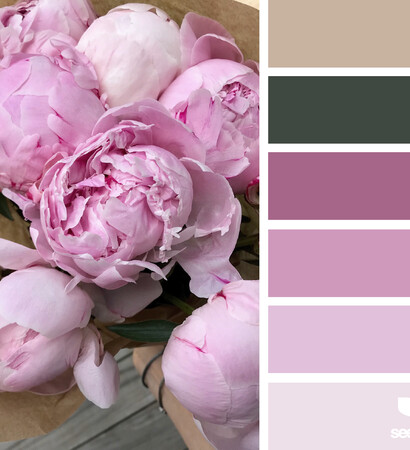 design seeds, flora and nature
