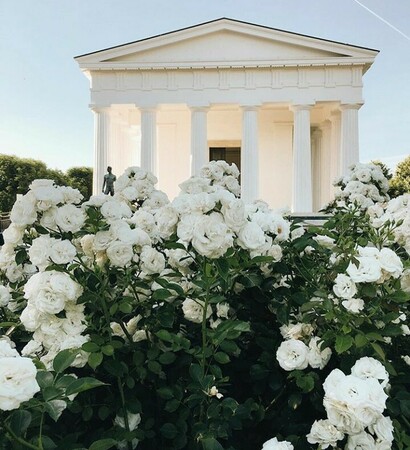 elegant, green and white