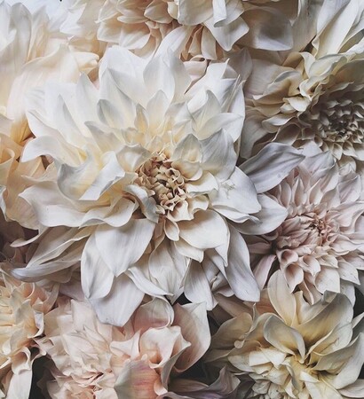 chic luxe rich wealthy, dahlia flower and wedding event
