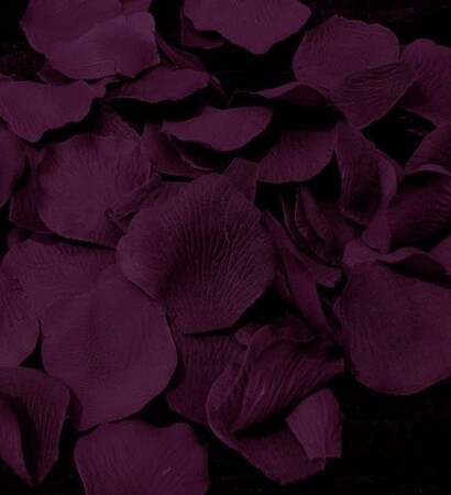 flowers, dark and background