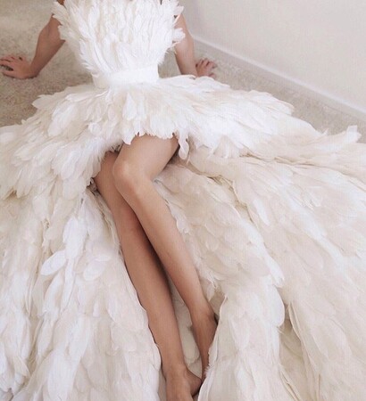 fashionista, feather and creative