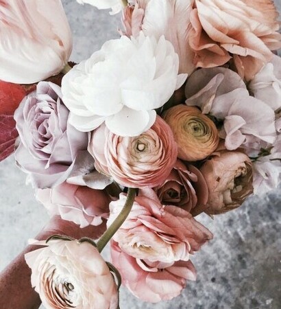 colors, roses and orange