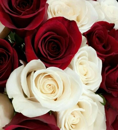 wallpaper, inspiration and flowers