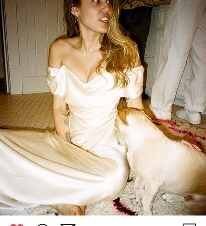 puppies, miley cyrus and bride