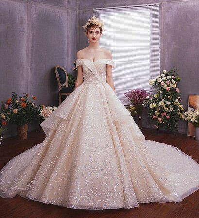 wedding dresses 2019, bridal and bling bling wedding dress