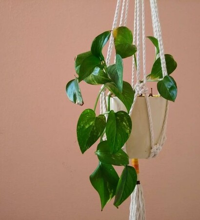 mid century modern, geometric macrame and white hanger