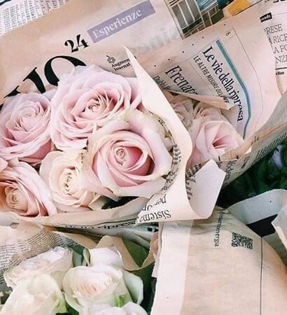 dream wedding, Super Model and plantas