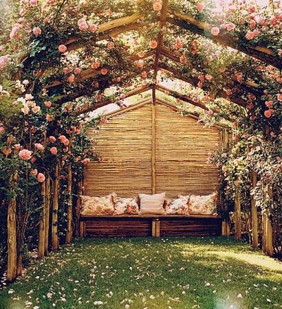 garden, bloom and pretty
