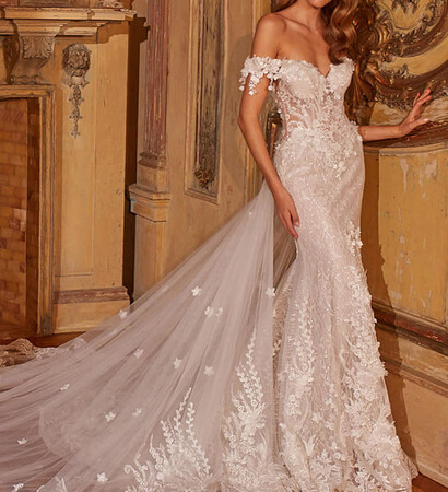 ball gown, gown and haute couture