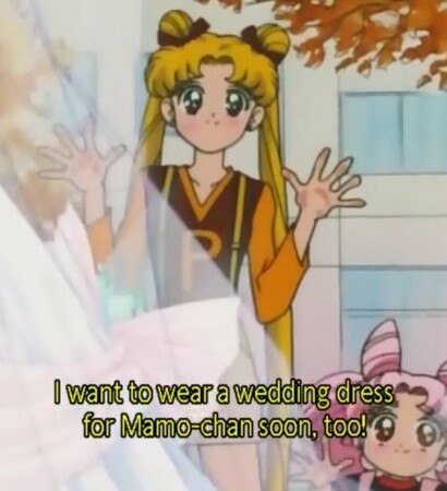 chibi tsukino, bride and mamo chan