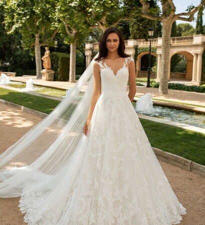 elegancia, bridal and belleza