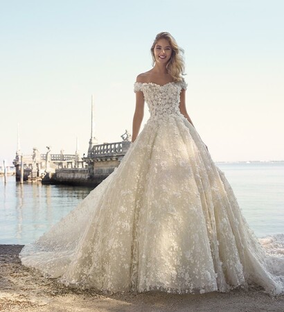 ball gown, gown and haute couture