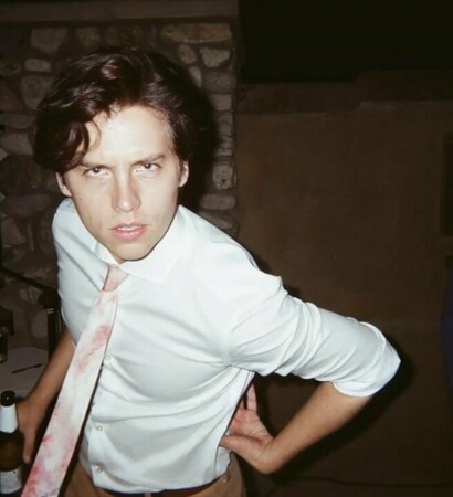 will, sprouse and cole sprouse