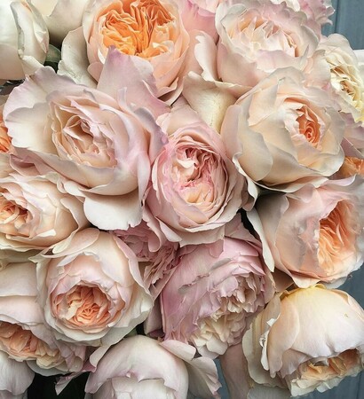 style, love and beauty