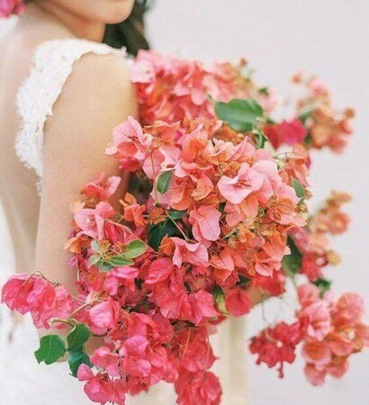 lace, dress and flores