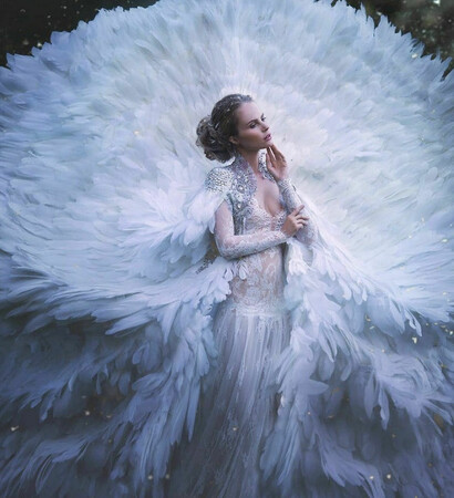 fairytales, gown and swan lake