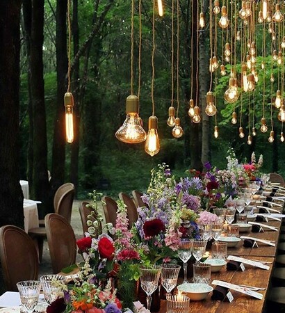 hanging lights, flowers and forest