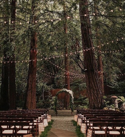 revenue, bride and outdoors