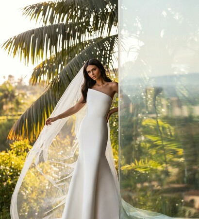 novia, elegancia and nupcial
