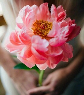 bride, bouquet and romance
