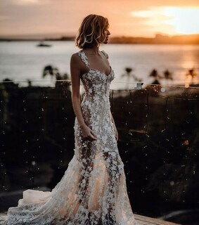 lace, dress and sheer