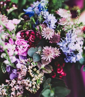 beauty, bride and flower
