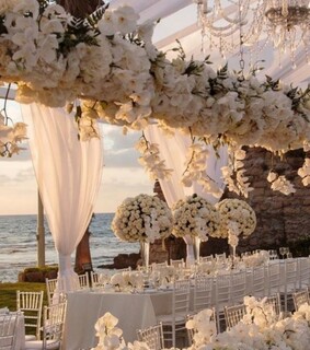 bride, gorgeous and Queen